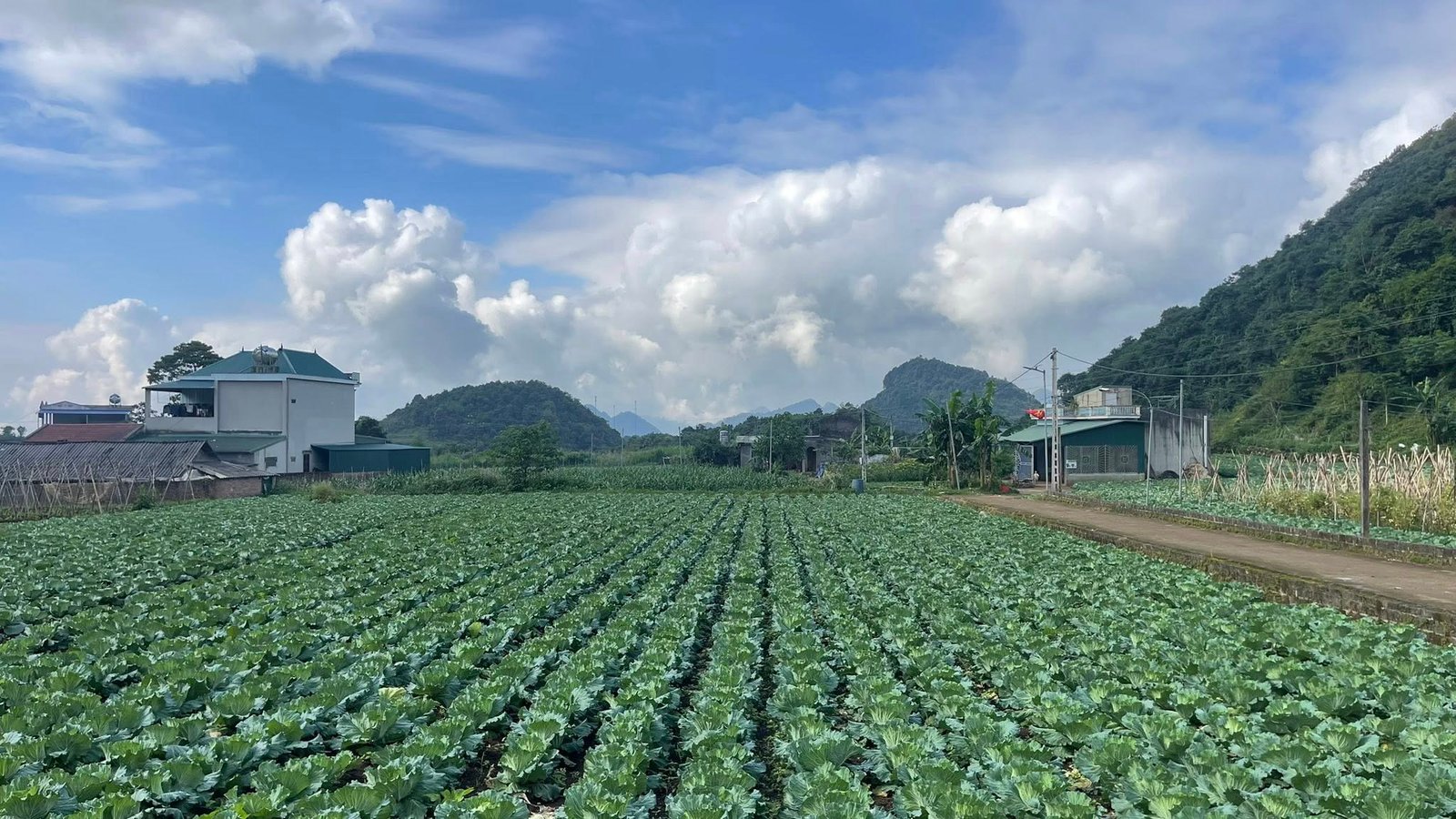 Hanoi Mai Chau Pu Luong E-bike Tour 3 Days